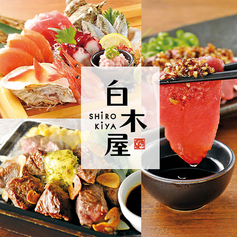 白木屋　大阪梅田茶屋町口駅前店_01